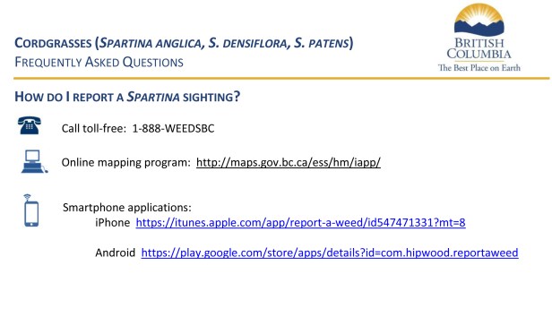 FAQs_Spartina_2016-7