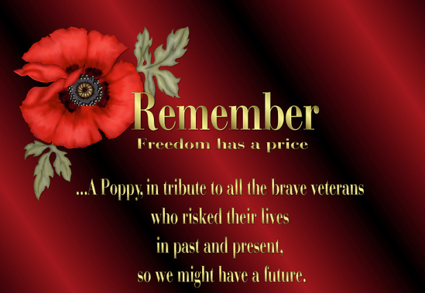 e27b6a004c980c3dee272e8dc91db0c6