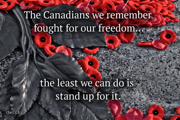 remembrance-day-fought-for-our-freedom